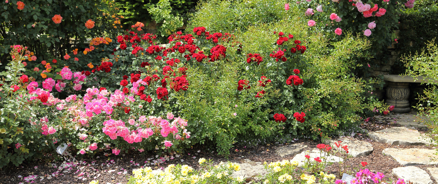 kompetenz in gruen der rosengarten