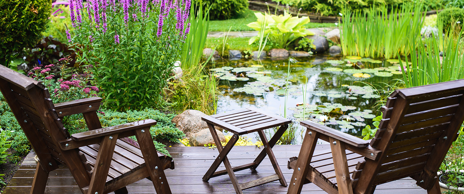 kompetenz in gruen der wassergarten